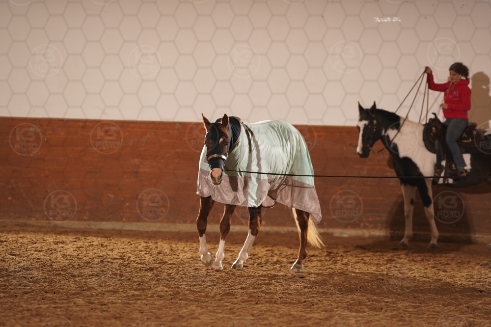 s_A_905594.JPG
